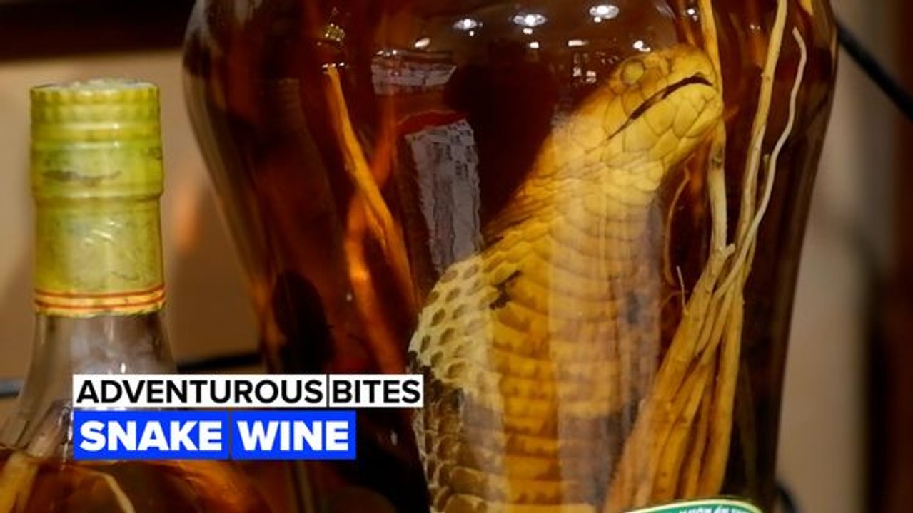 Adventurous bites: Snakes in your wine bottles