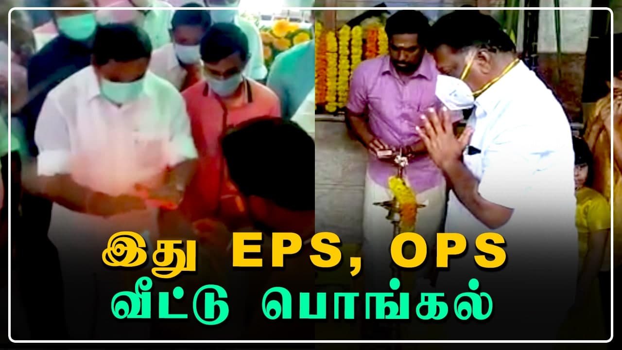 முதல்வர், துணை முதல்வர் வீட்டில் களைகட்டிய பொங்கல் | Oneindia Tamil