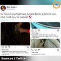 La rappeuse Azealia Banks déterre et 