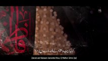 MAA ZEHRA (Official Video) - Mesum Abbas 2021 - New Noha Bibi Fatima - Ayam e Fatima