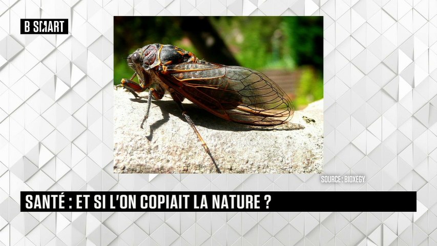 Le rendez-vous du lundi 9 novembre 2020