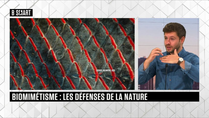 Le rendez-vous du lundi 2 novembre 2020
