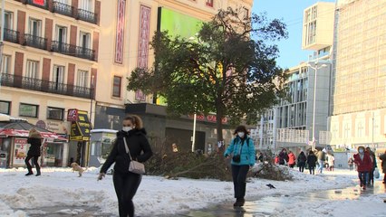 Comunidad de Madrid pedirá ser zona catastrófica en su conjunto