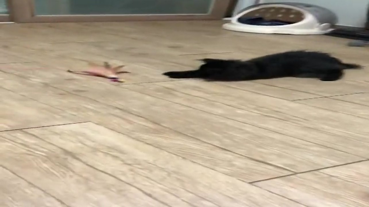 코미디빅리그 315회