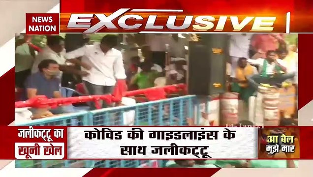 Rahul Gandhi attends JalliKattu in Madurai