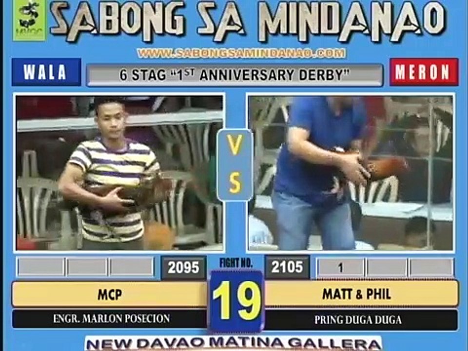 Sabong - Chicken Fight Philippine 11 2015