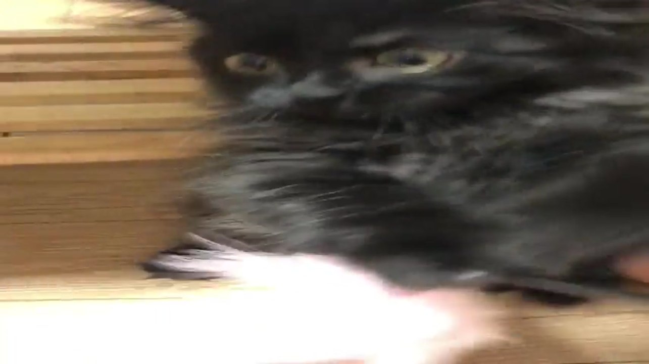 코미디빅리그 315회