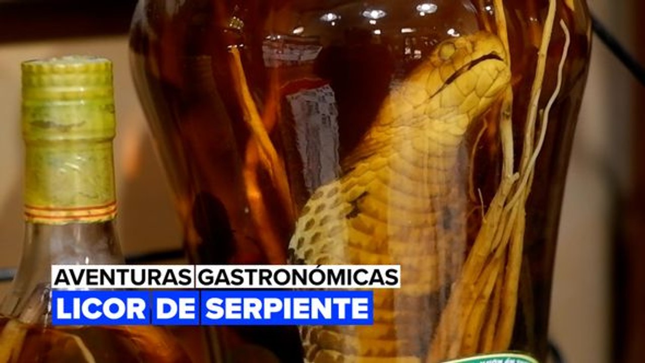 Aventuras gastronómicas: licor de serpiente - Vídeo Dailymotion