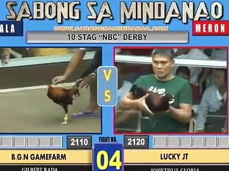 Stag Elim Fight #01- #08