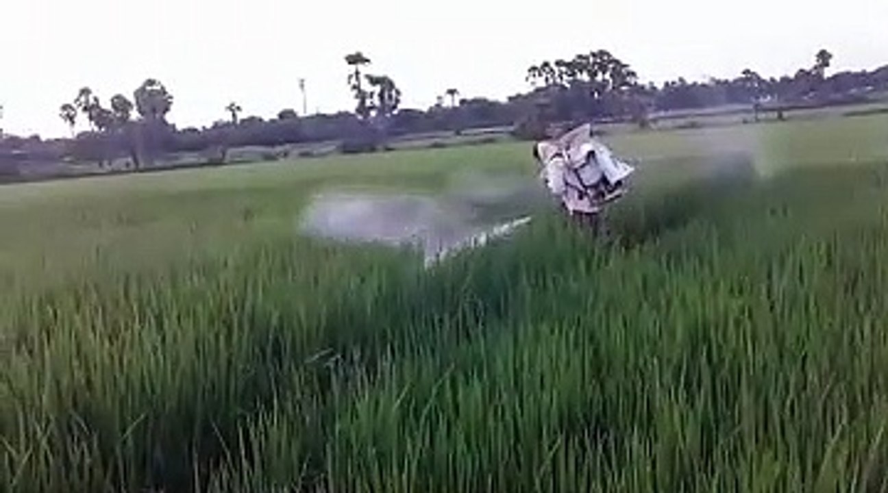 Farmer Spraying Insecticide