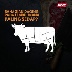 Video herunterladen: Bahagian daging lembu mana yang sedap dan suka dimakan?