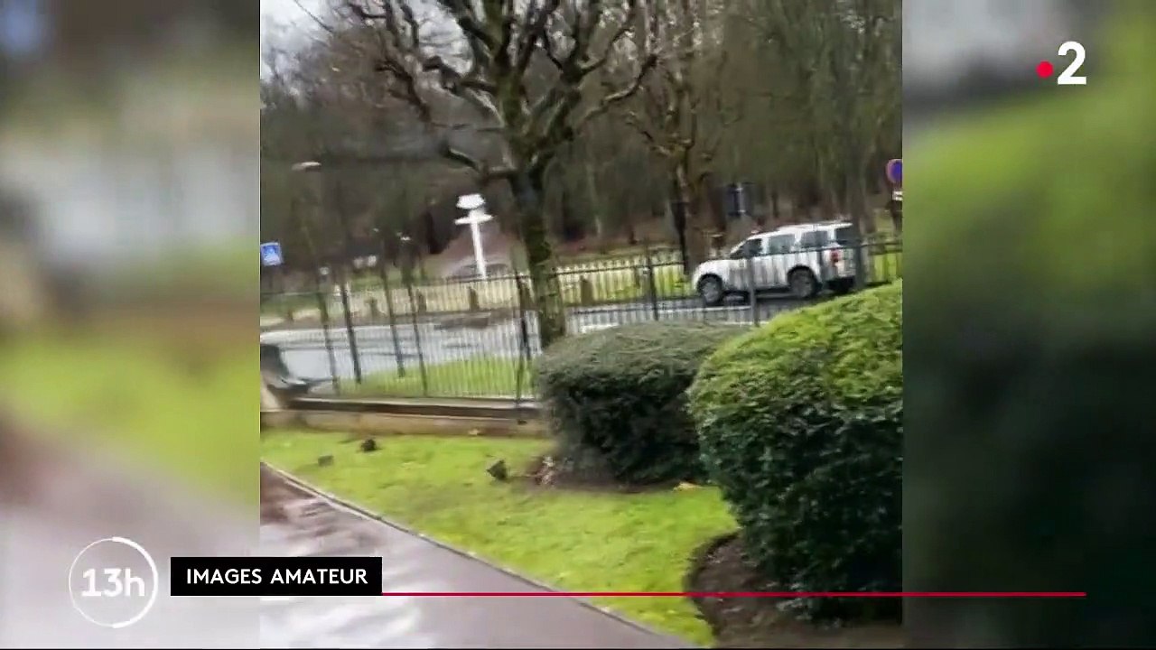 Chantilly : un cerf poursuivi par une meute de chiens lors d’une chasse à courre