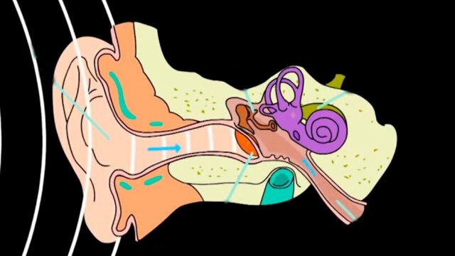 bd-causas-y-tratamientos-del-dolor-de-oido-140121