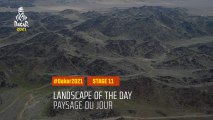 #DAKAR2021 - Étape 11 / Stage 11 - AlUla / Yanbu - Landscape of the Day