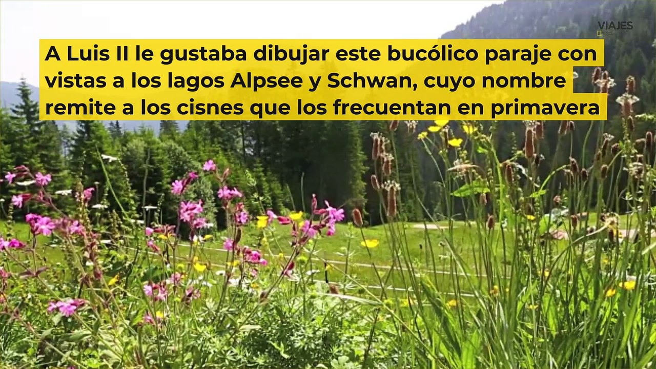 Las 4 estaciones en Neuschwanstein