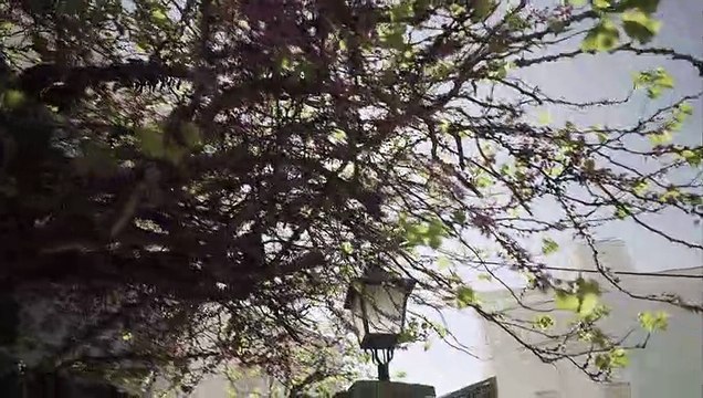 Casas Viejas 1933 - Tráiler