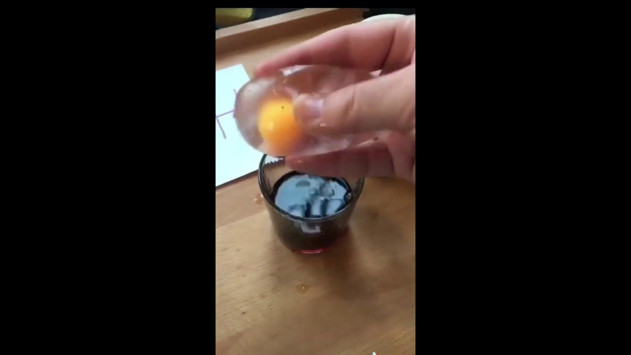 Fun of simple science experience with egg - Funny Dailymotion Video