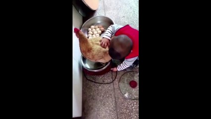 Baby is trying to cook a chicken - Funny Dailymotion Video