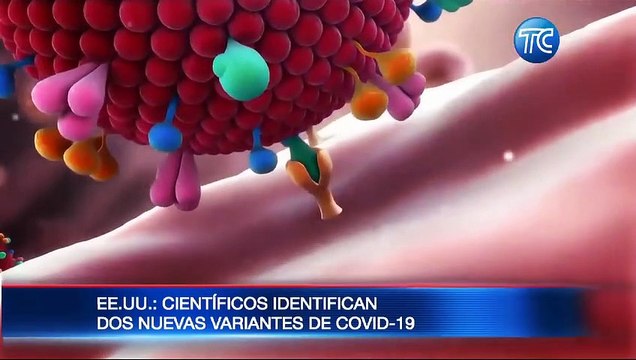 VIDEO | Descubren dos nuevas cepas del COVID-19 en Estados Unidos