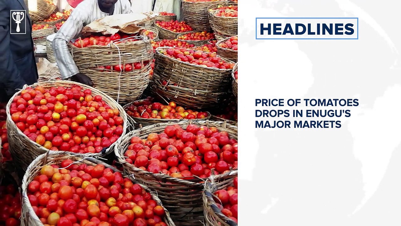 Nigeria's total public debt increases by N6 trillion in 1 year, Pope receives vaccination and more