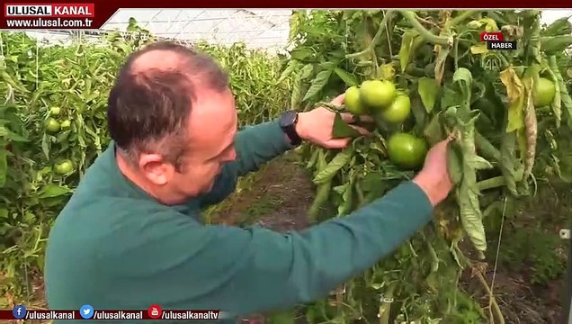 Mevsimlik işçiler zor şartlarda hayat mücadelesi veriyor