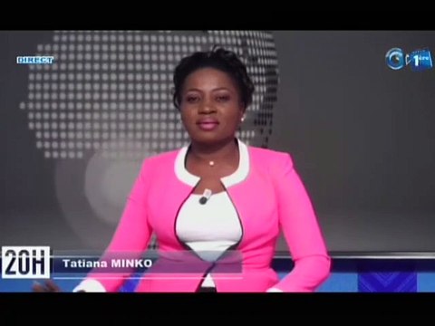 RTG/ Échange entre l’ambassadeur du Japon au Gabon et le Premier Ministre