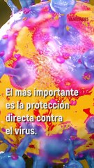 Vacuna contra el Covid: preguntas, respuestas, mitos, una guía utilitaria.