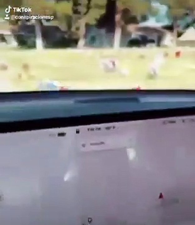 Sensores de un auto Tesla detectan a supuesto fantasma en un cementerio