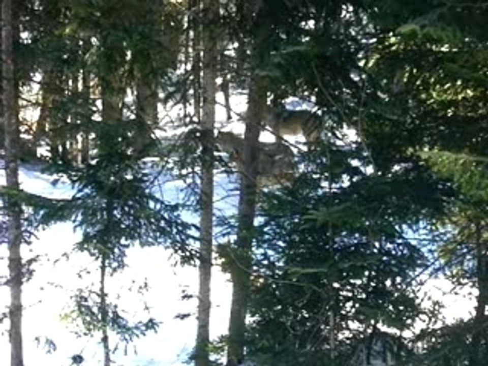 P1010894