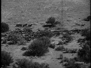 The Restless Gun Season 2 Episode 18 Blood of Courage