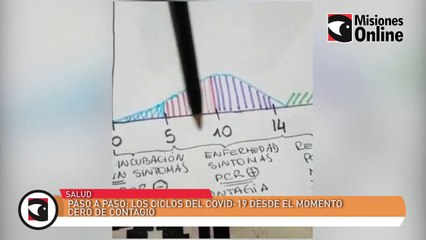 Paso a paso los ciclos del Covid-19 desde el momento cero de contagio