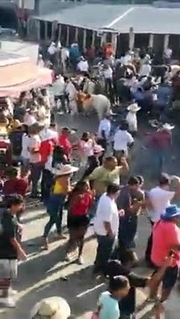 Golpes y licor se hicieron presentes en Santa Cruz en plena pandemia (2)