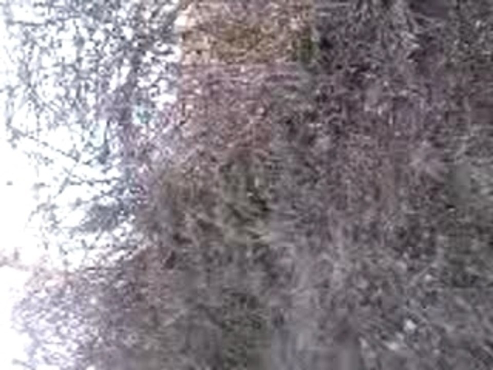 Vidéo0005