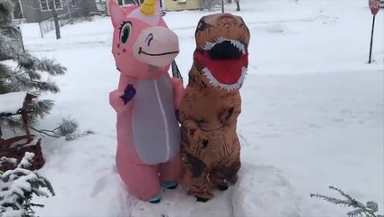Even dinosaurs and unicorns enjoy the snow!