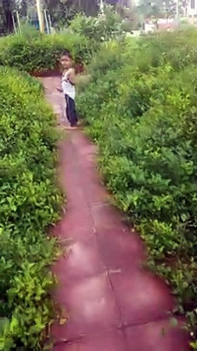 Park