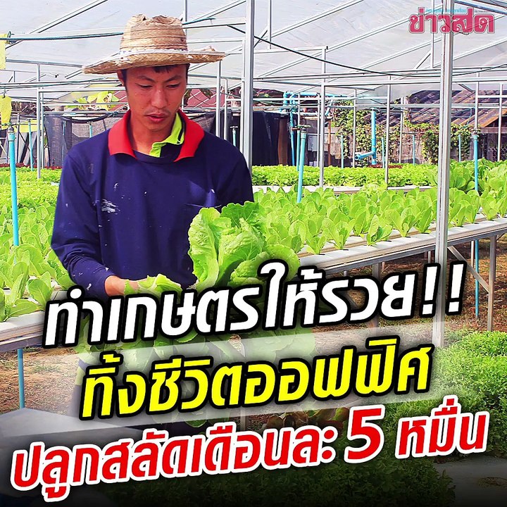 ทำเกษตรยังไงให้รวย!! ต้องฟังหนุ่มวัย 29 ทิ้งอาชีพมนุษย์เงินเดือน มาปลูกผักไฮโดร ทำการตลาดดี-ขายส่งห้างดัง สลัดกิโลละ 70 ทำเงินเดือนนึงมากกว่า 5 หมื่น
