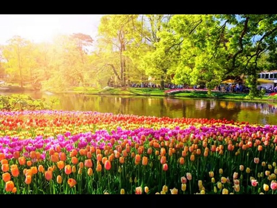 Amigo アミーゴ 【友よ】 (ロベルト・カルロス & Roberto Carlos) ラテンポップス / 訳(作)詞初稿・by Sima