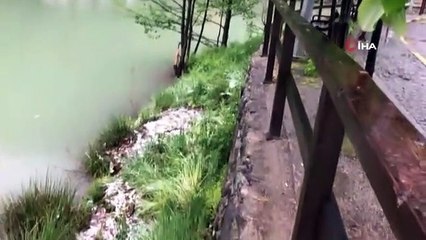Adana'ya bayram sabahı kar sürprizi