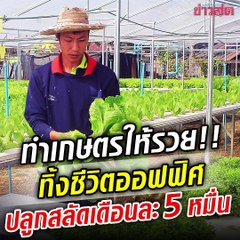 ทำเกษตรยังไงให้รวย!! ต้องฟังหนุ่มวัย 29 ทิ้งอาชีพมนุษย์เงินเดือน มาปลูกผักไฮโดร ทำการตลาดดี-ขายส่งห้างดัง สลัดกิโลละ 70 ทำเงินเดือนนึงมากกว่า 5 หมื่น