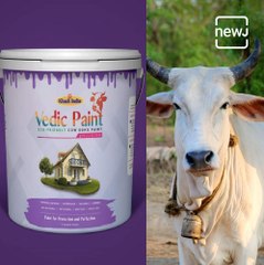 Prakritik Paint- Story of India's First Organic Paint Made From Cow Dung