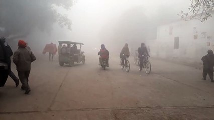 शीतलहर और कोहरे की चादर ने जिले में बढ़ाई ठंड, लोग घरों में दुबके