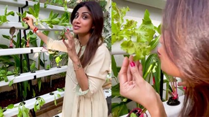 Shilpa Shetty का सालों पुराना सपना हुआ सच, खुश होकर कर लिया इसे "Kiss" | Boldsky