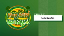 Mag-Agri Na Tayo! Episode 57 - Herb Garden