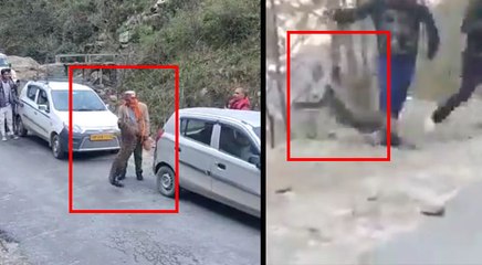 VIDEO: अचानक खूंखार तेंदुआ जब बन गया पालतू बिल्ली, ये झपट्टा वार का नहीं...दुलार का