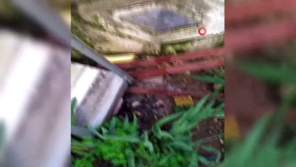 Hayvansever gencin başına gelenler “pes” dedirtti…Terlik fırlatıp üzerine yürüdüler