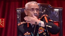 Sacrifice of Galwan braves won't go in vain: Gen Naravane