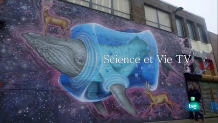 La mecánica de los sueños  [ HD ] - Documental