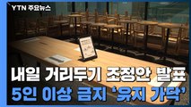 내일 조정안 발표...거리두기 단계·5인 이상 금지 조치 유지되나 / YTN