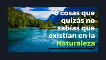 8 Cosas que quizás no sabías que existían en la naturaleza