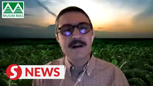 Palm oil protests hinder sustainability drive: planters